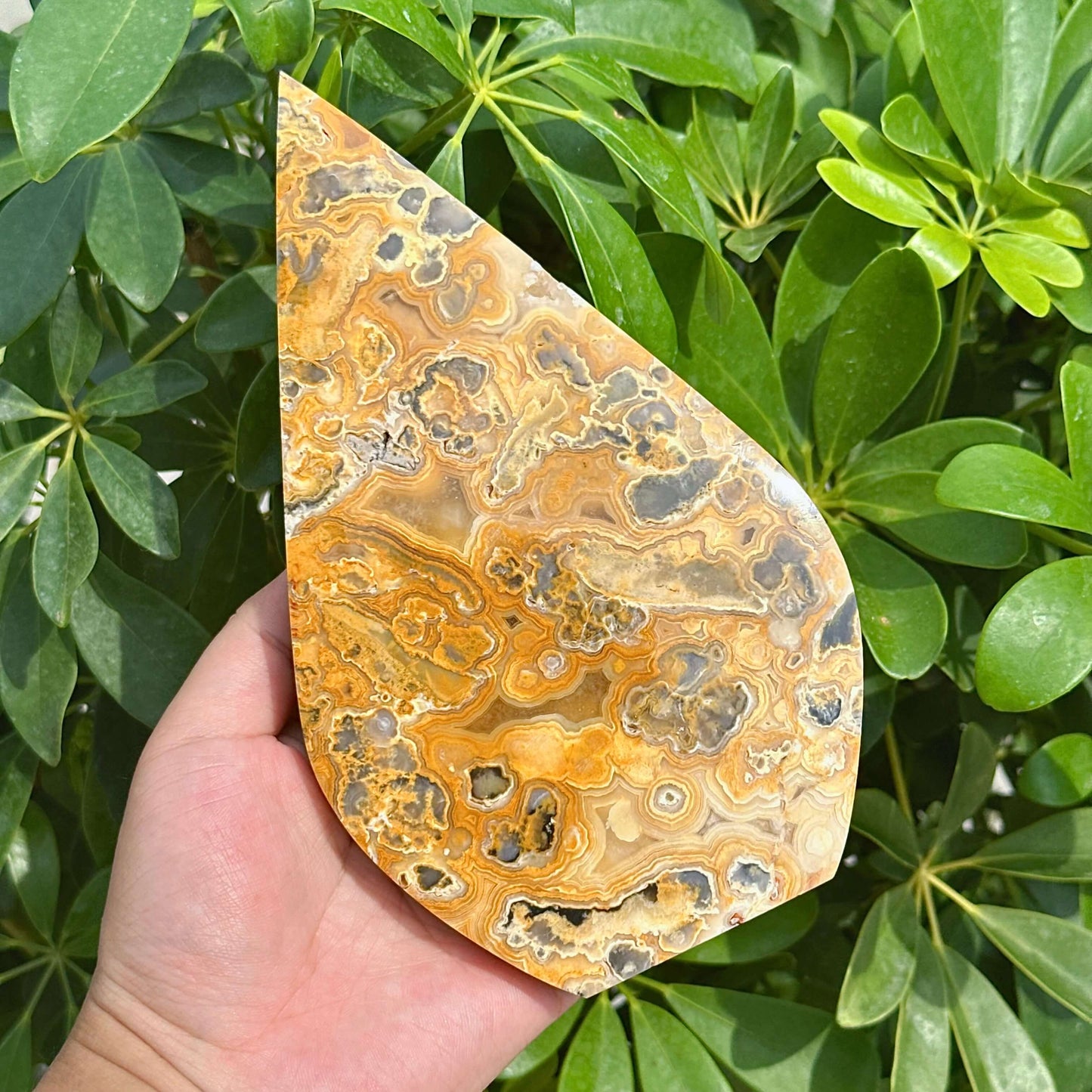 Crazy Agate Waterdrop Carving