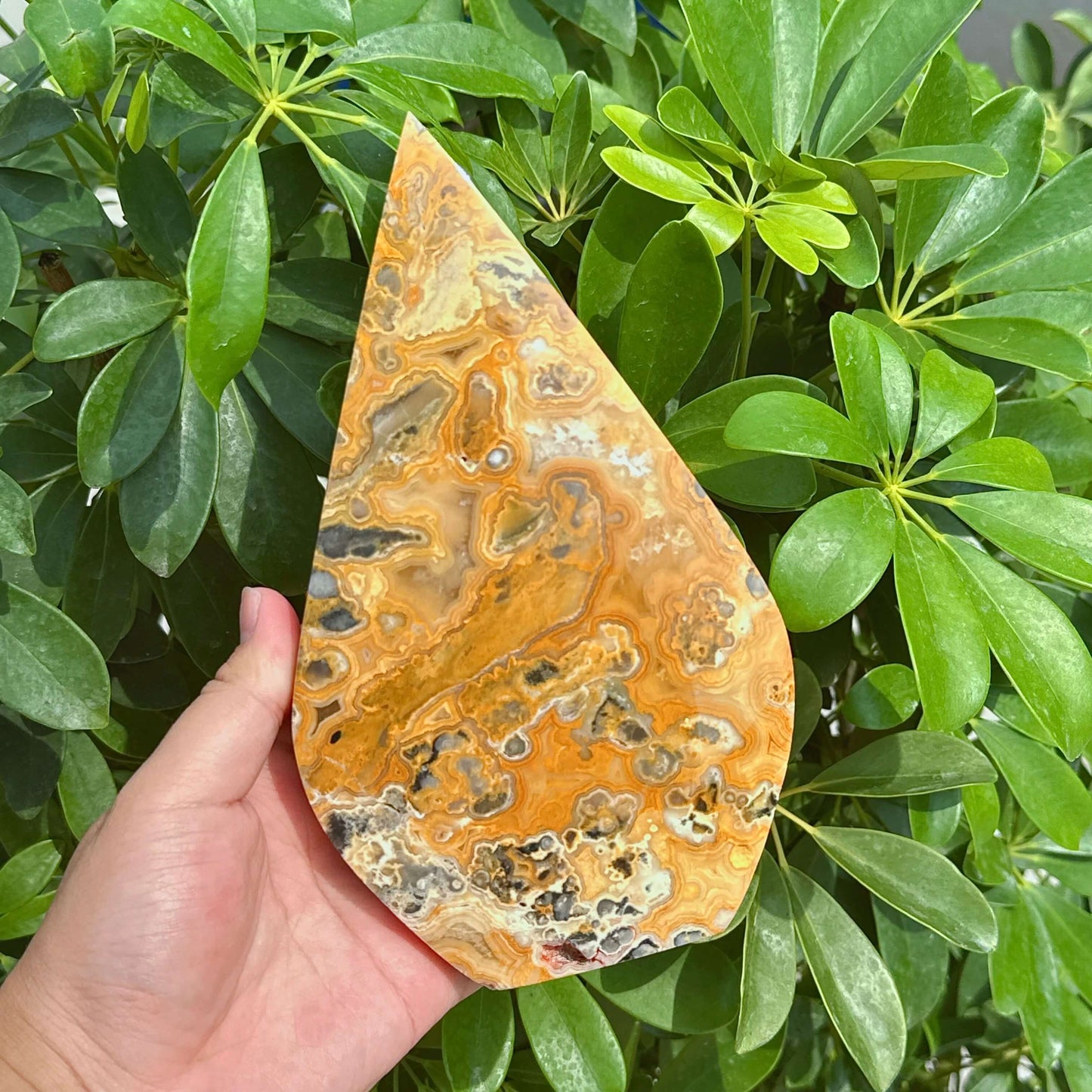 Crazy Agate Waterdrop Carving