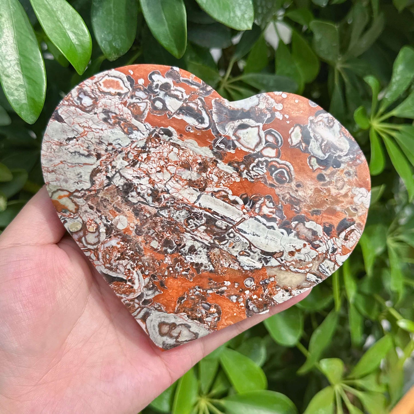 Money Agate Heart Ornament