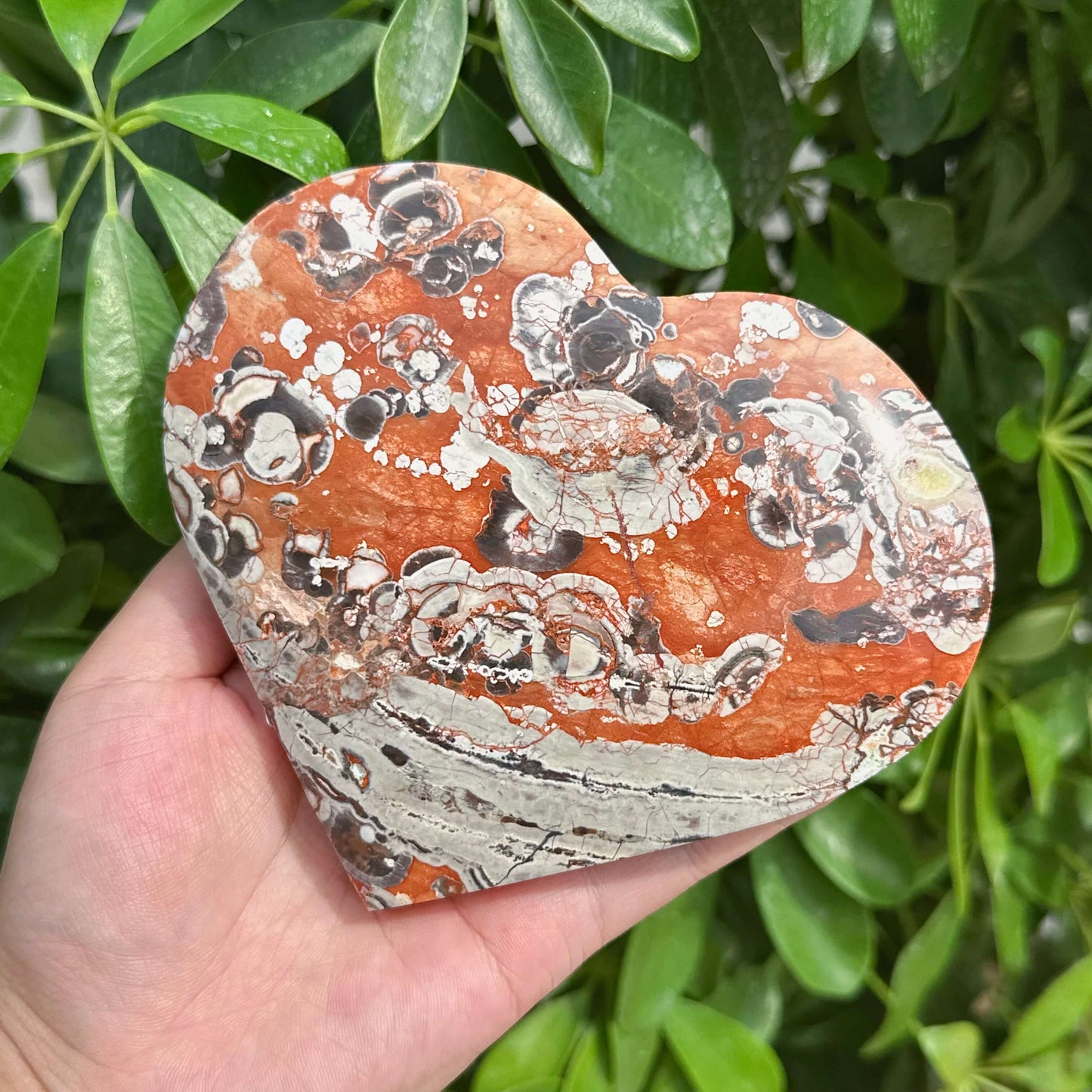 Money Agate Heart Ornament