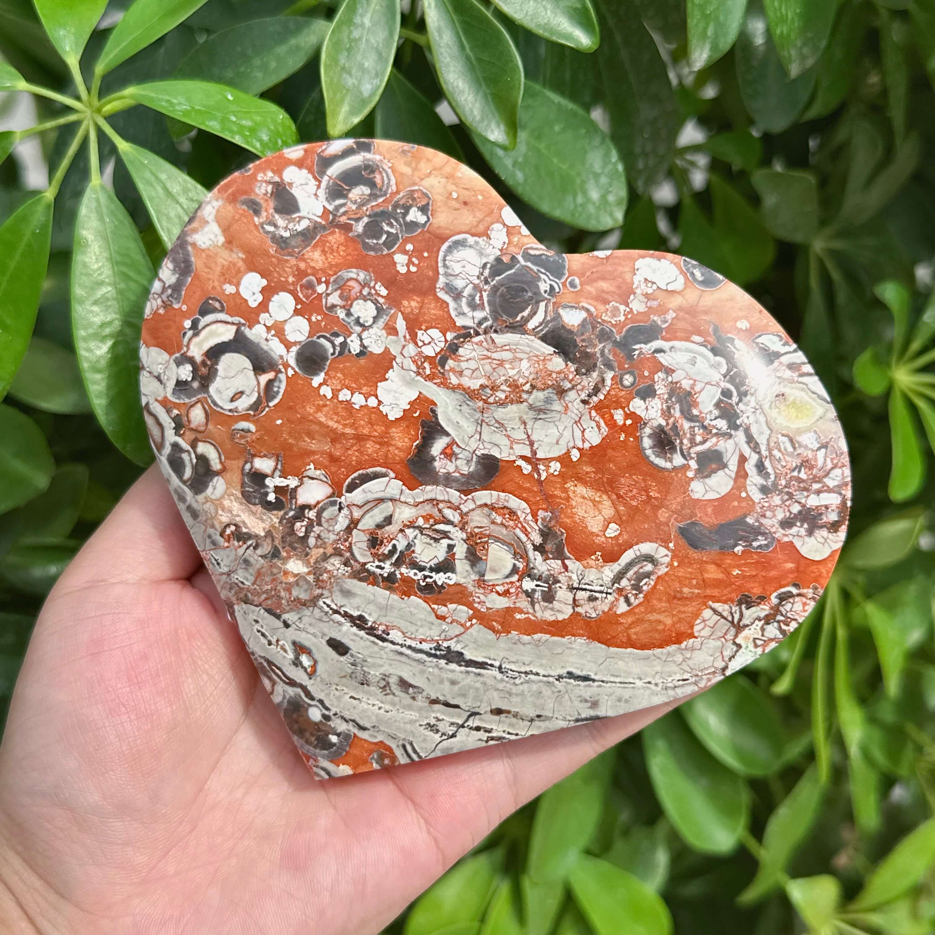 Money Agate Heart Ornament