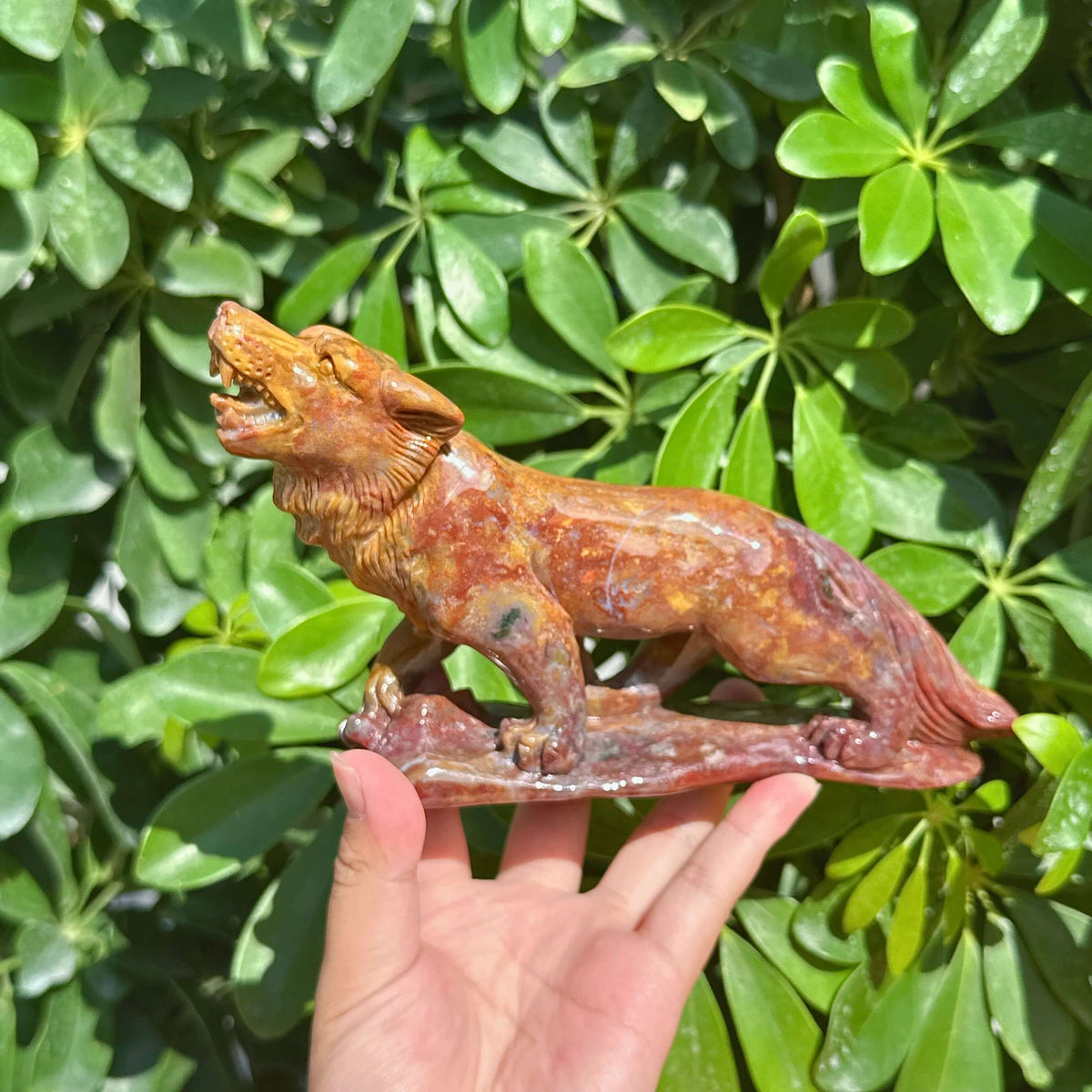 Ocean Jasper Wolf Carving