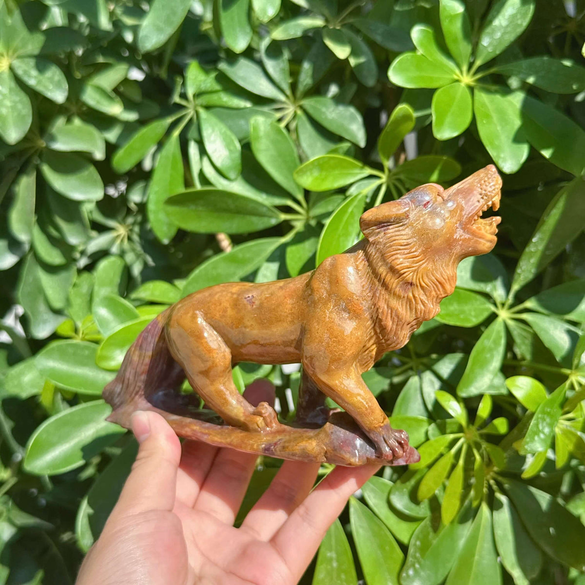 Ocean Jasper Wolf Carving