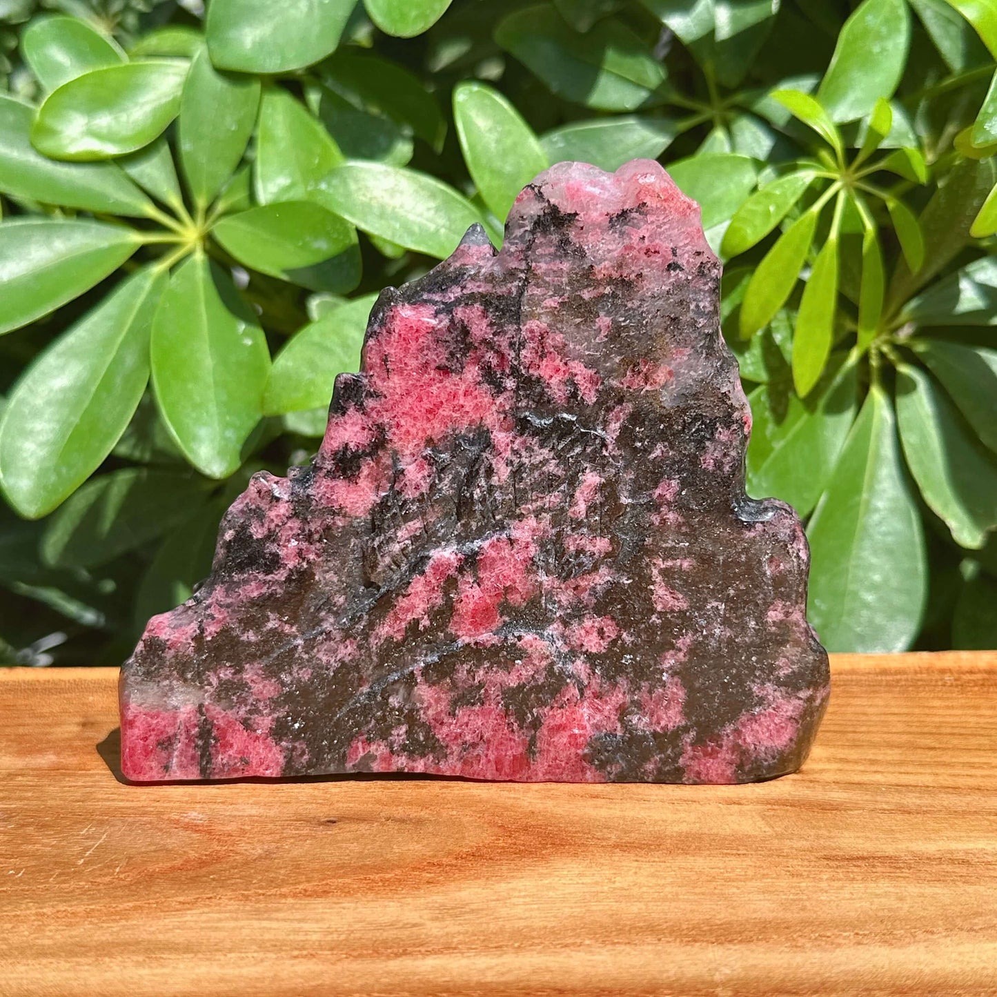 Rhodonite Landscape Carving