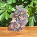 Flower Agate Dragon Carving