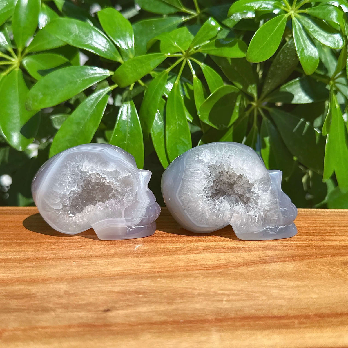 Druzy Geode Agate Skull Carving