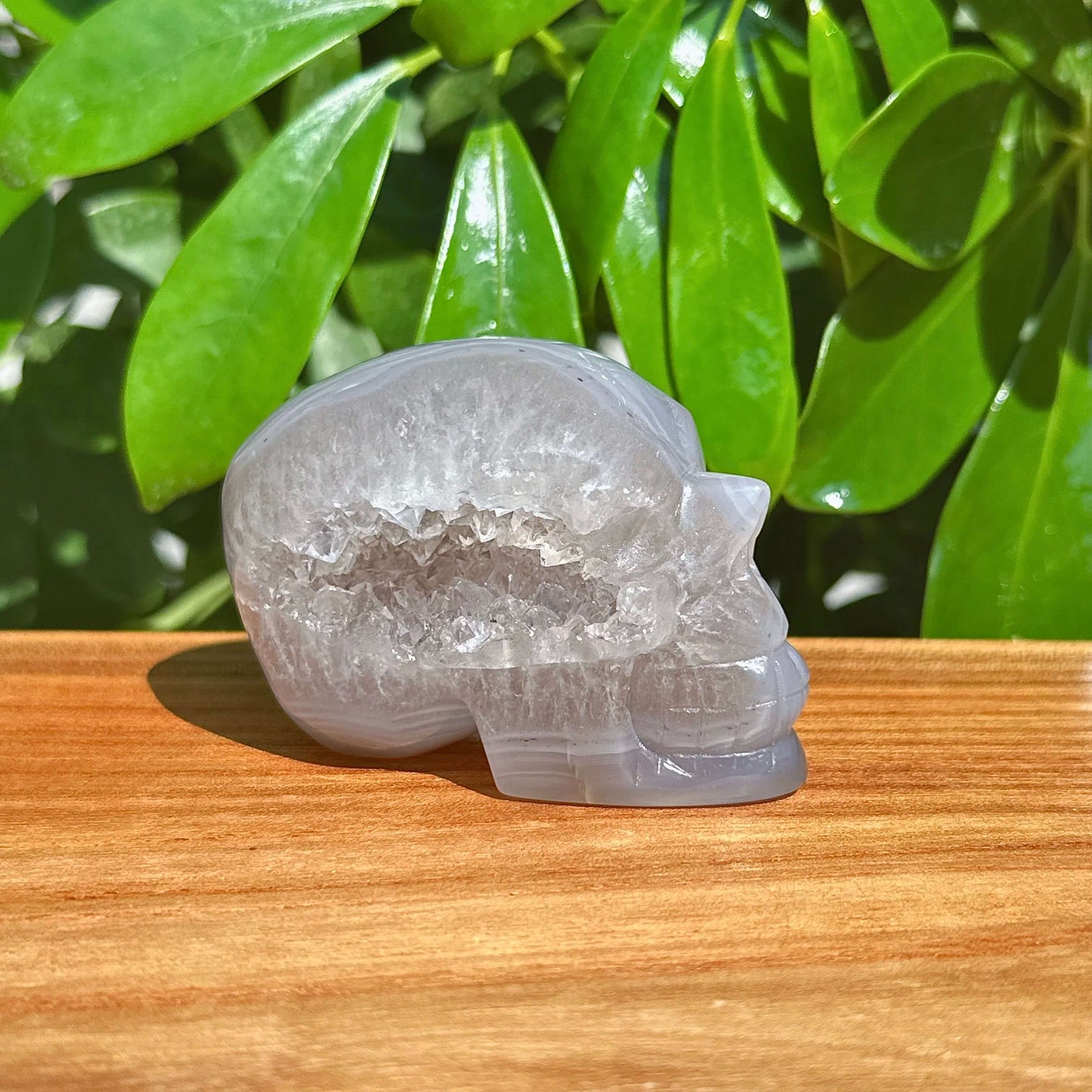 Druzy Geode Agate Skull Carving