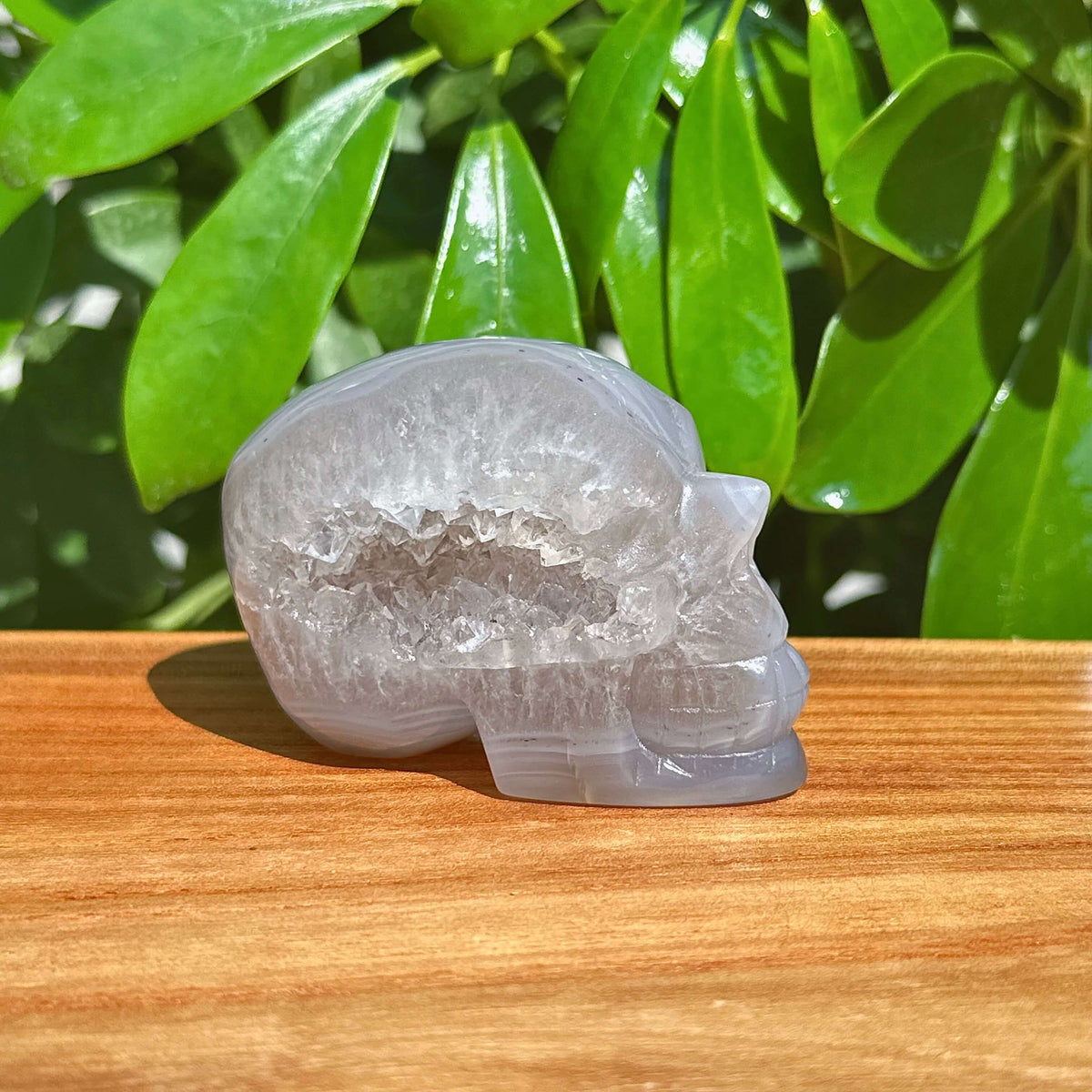 Druzy Geode Agate Skull Carving