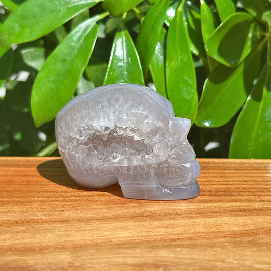 Druzy Geode Agate Skull Carving