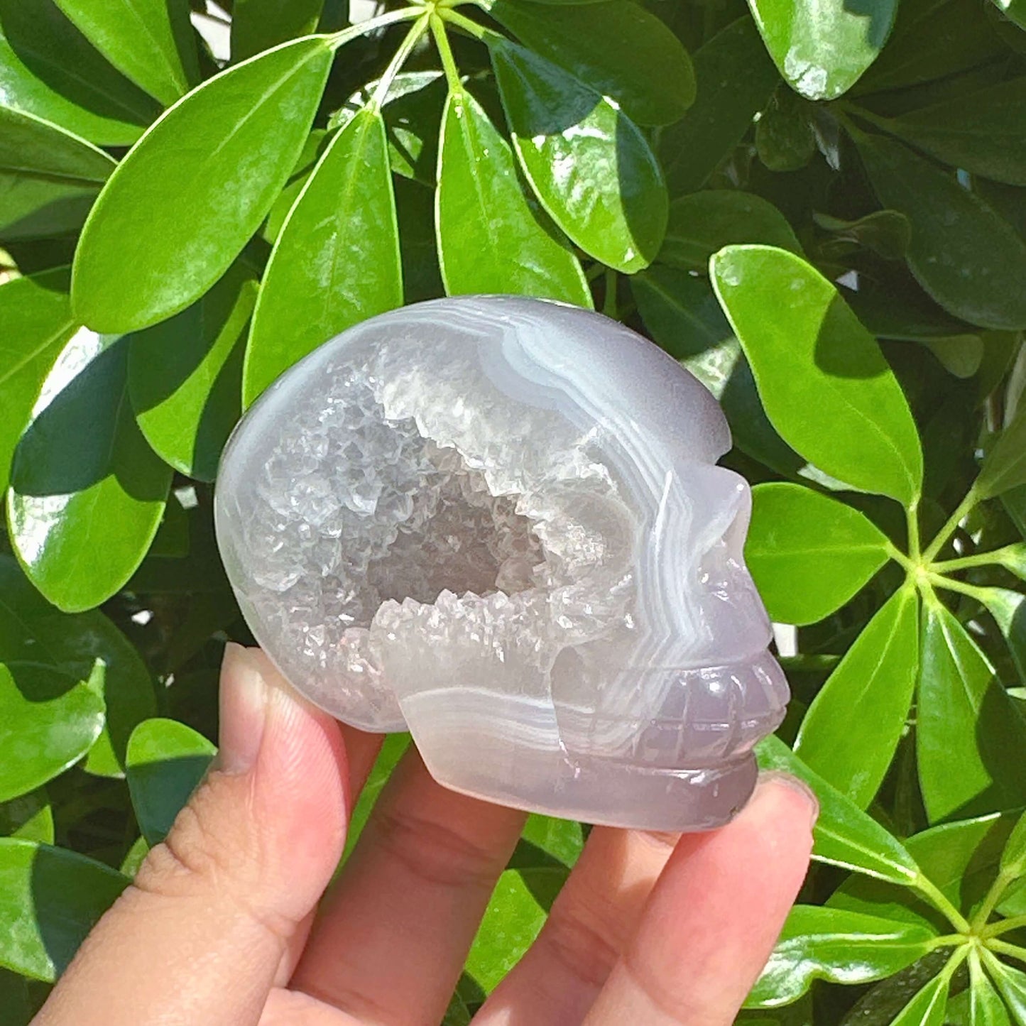 Druzy Geode Agate Skull Carving