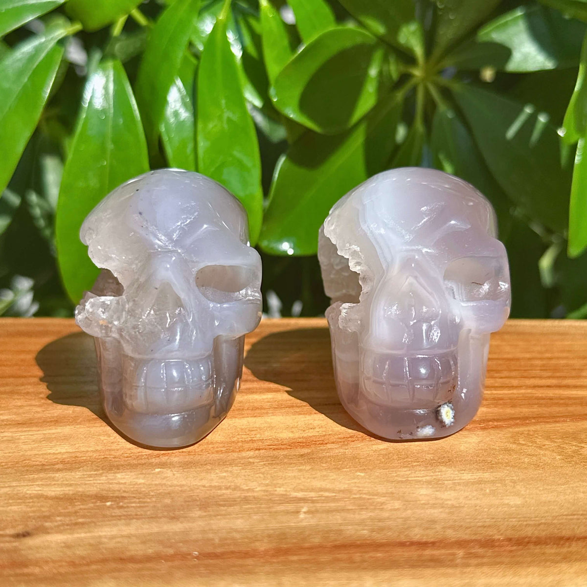 Druzy Geode Agate Skull Carving