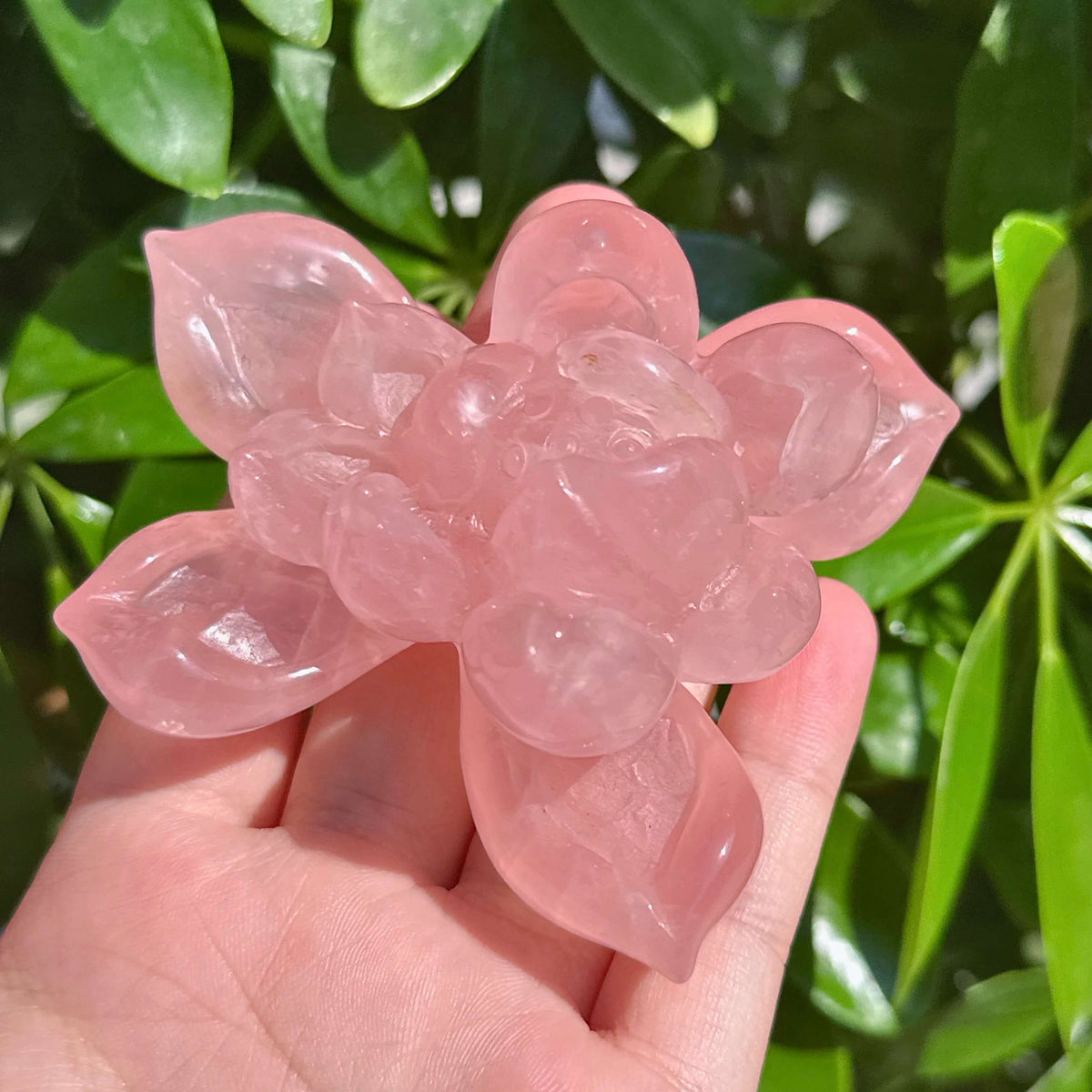 Rose Quartz Lotus Carving