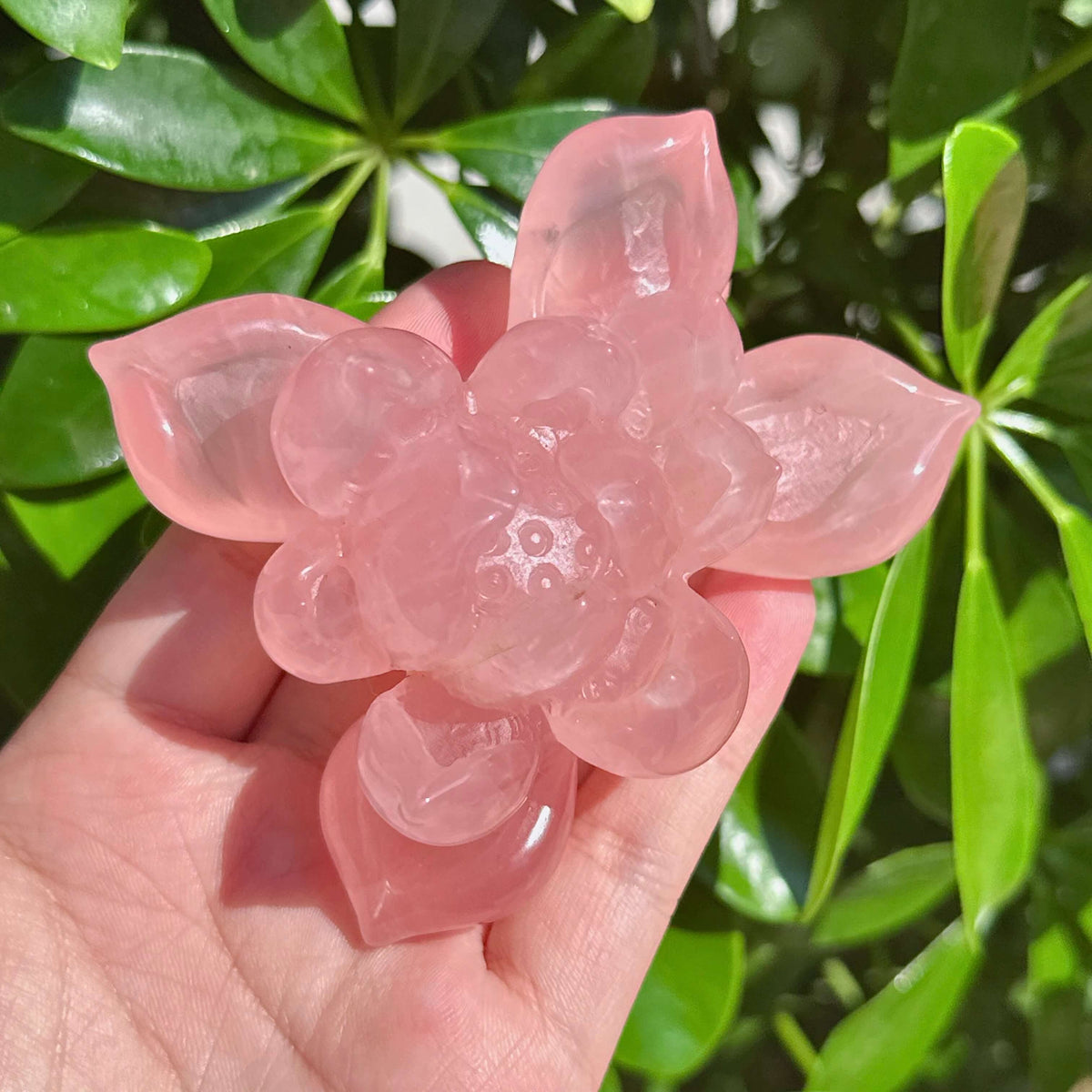 Rose Quartz Lotus Carving
