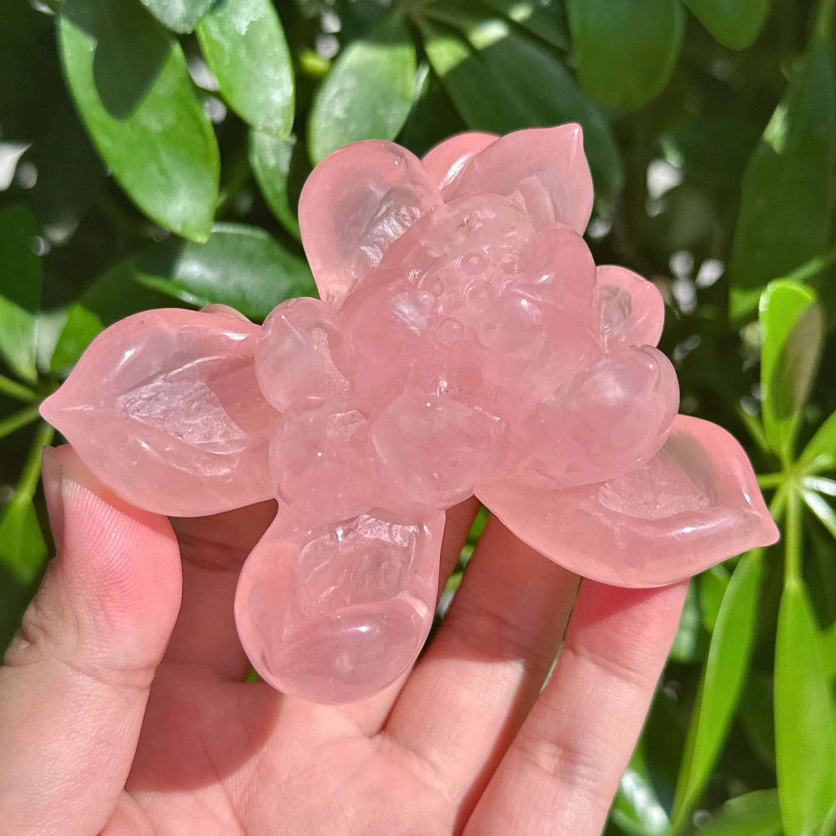 Rose Quartz Lotus Carving