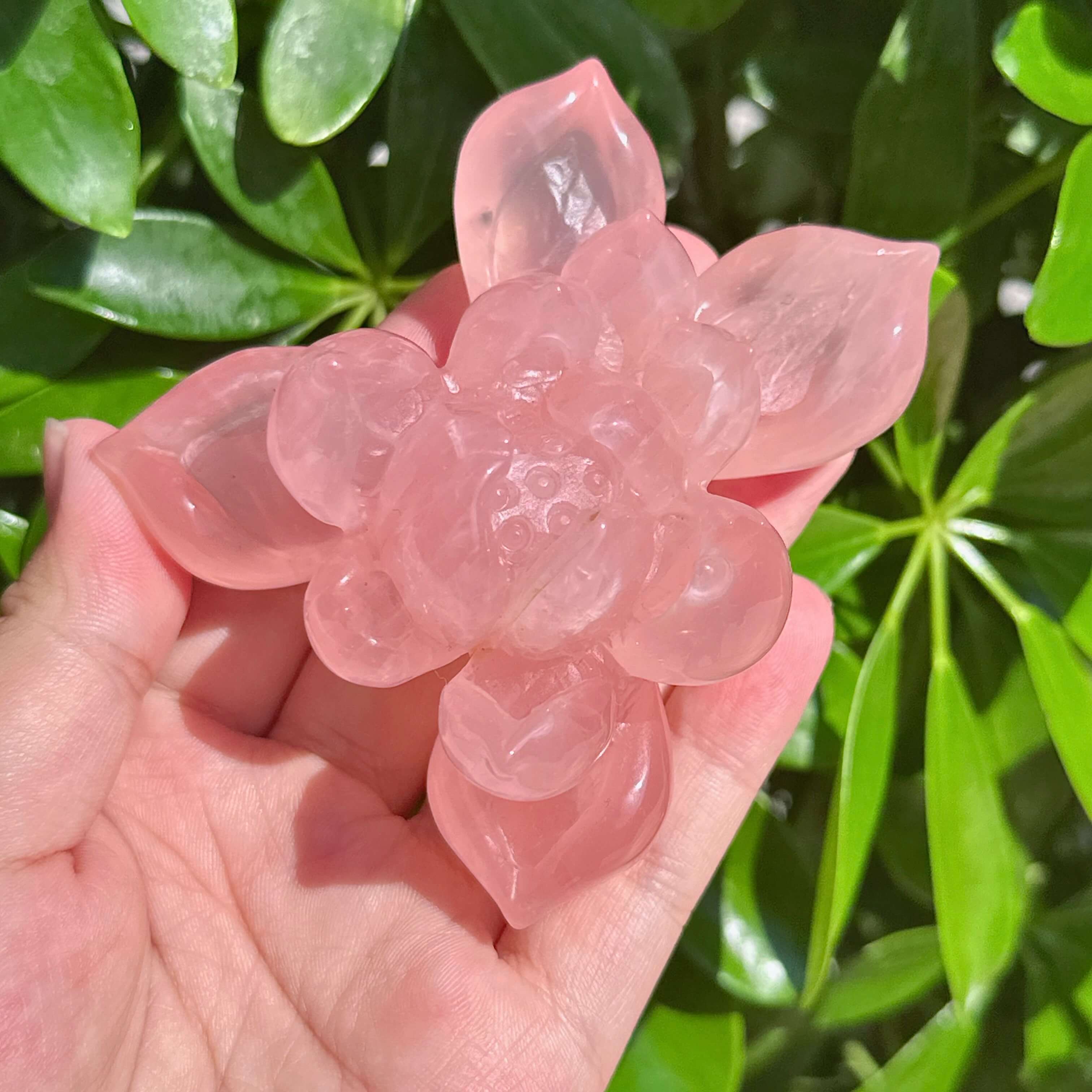 Rose Quartz Lotus Carving