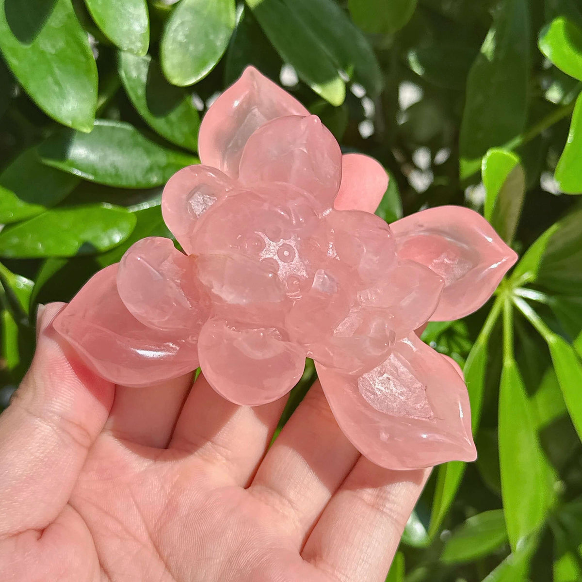 Rose Quartz Lotus Carving