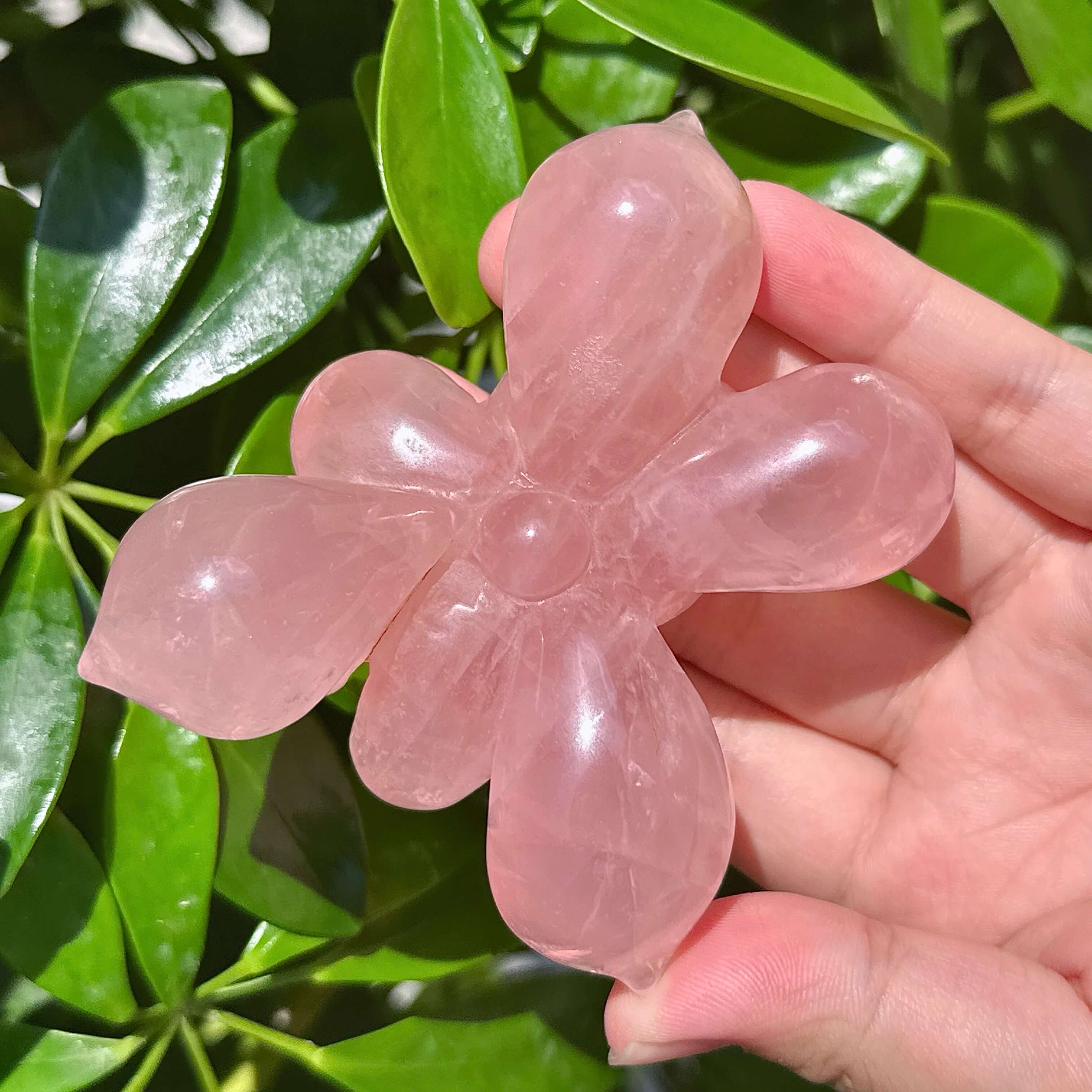 Rose Quartz Lotus Carving