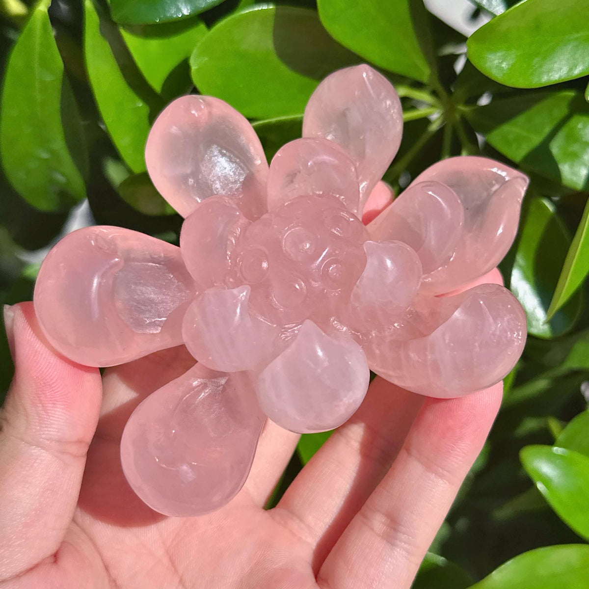 Rose Quartz Lotus Carving