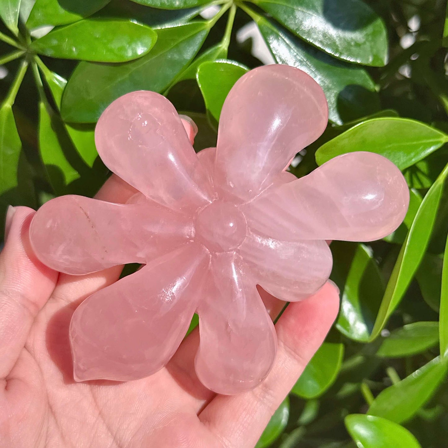 Rose Quartz Lotus Carving
