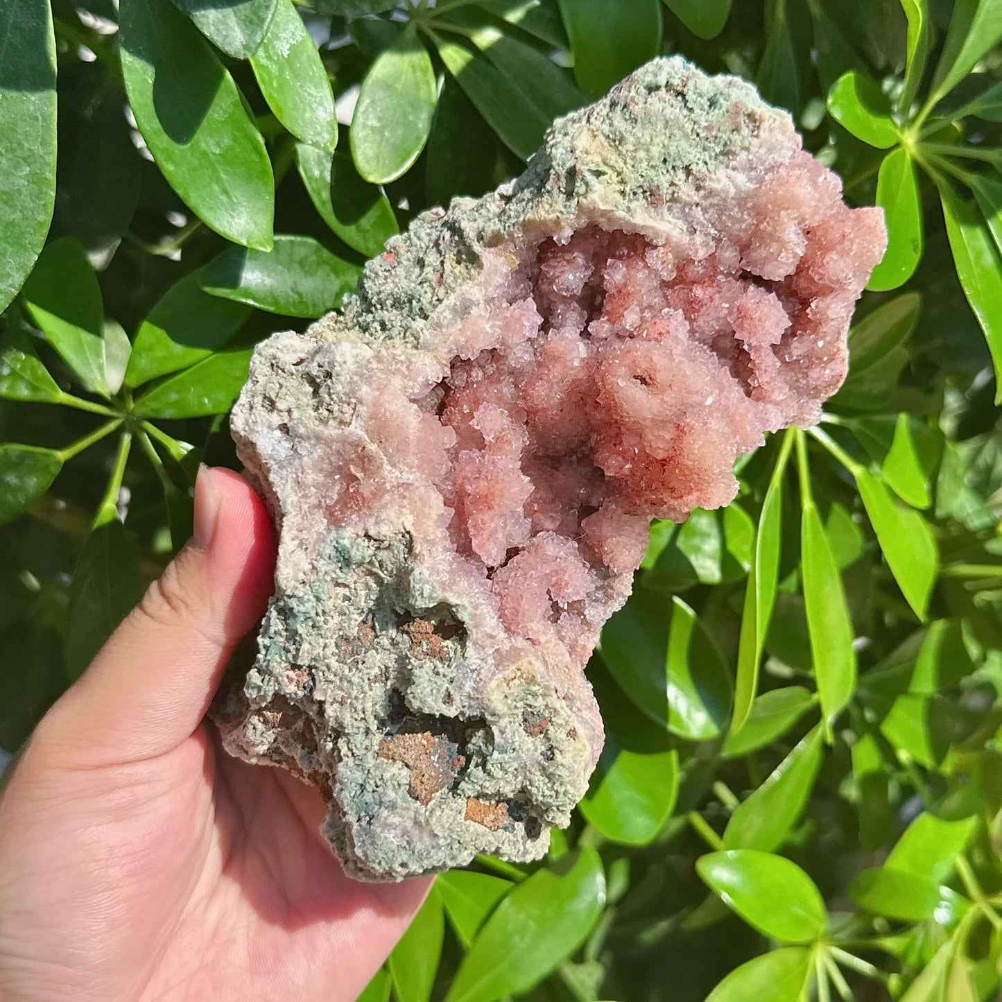 Pink Amethyst Specimen