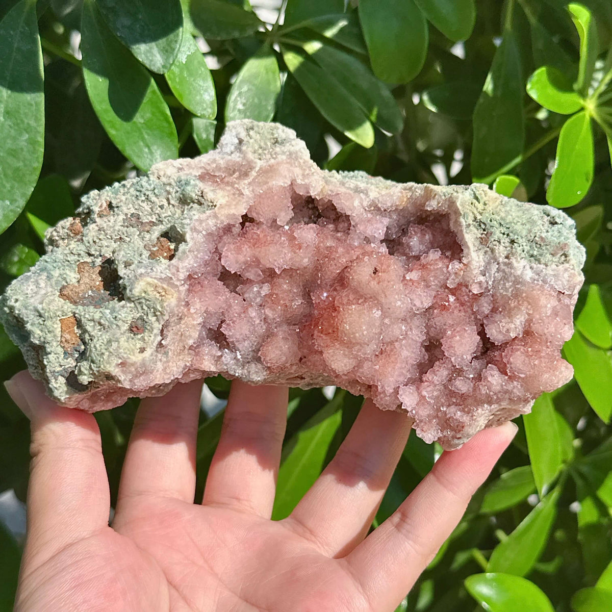 Pink Amethyst Specimen