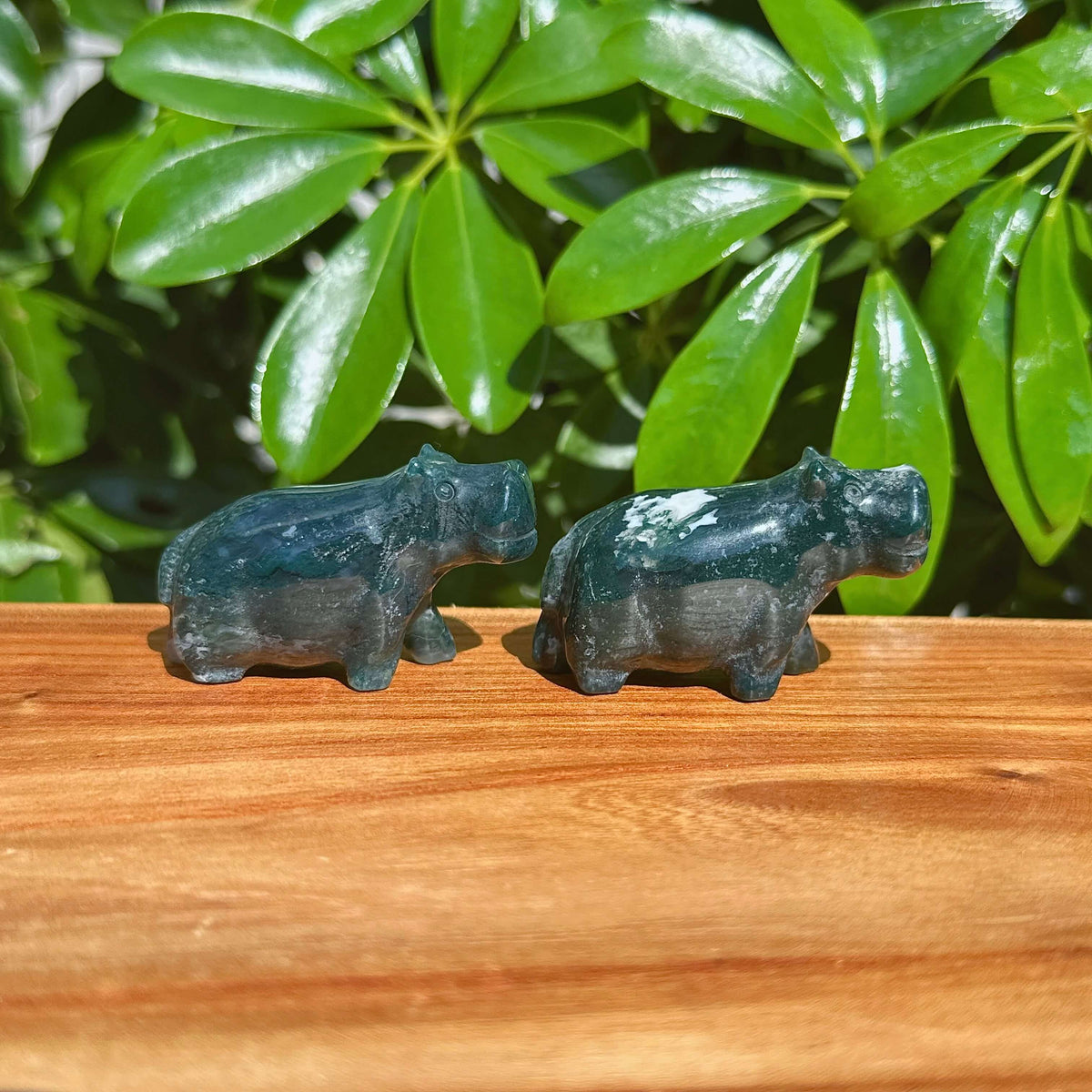 Moss Agate Hippo Carving