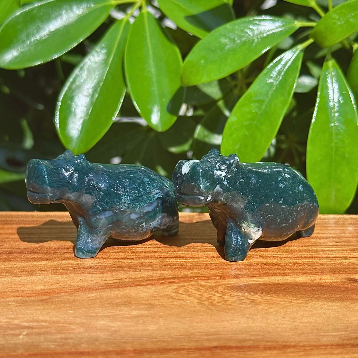 Moss Agate Hippo Carving