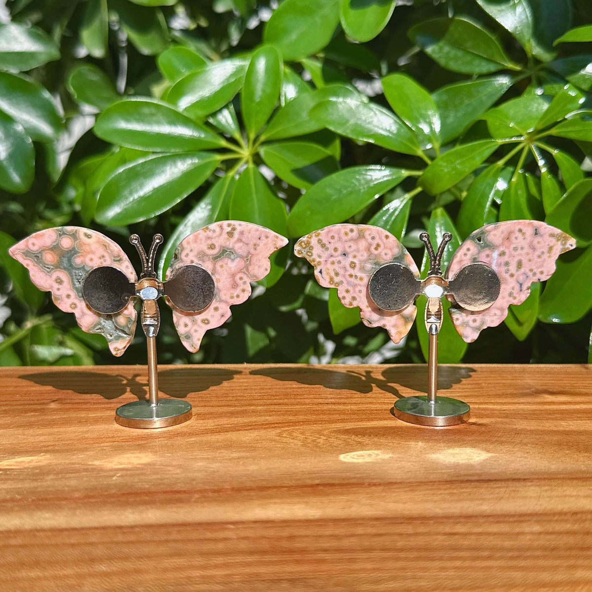 8th Vein Ocean Jasper Butterfly