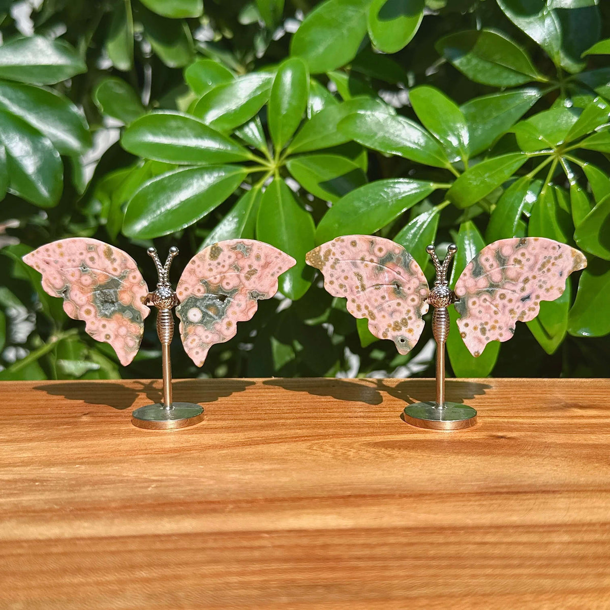 8th Vein Ocean Jasper Butterfly