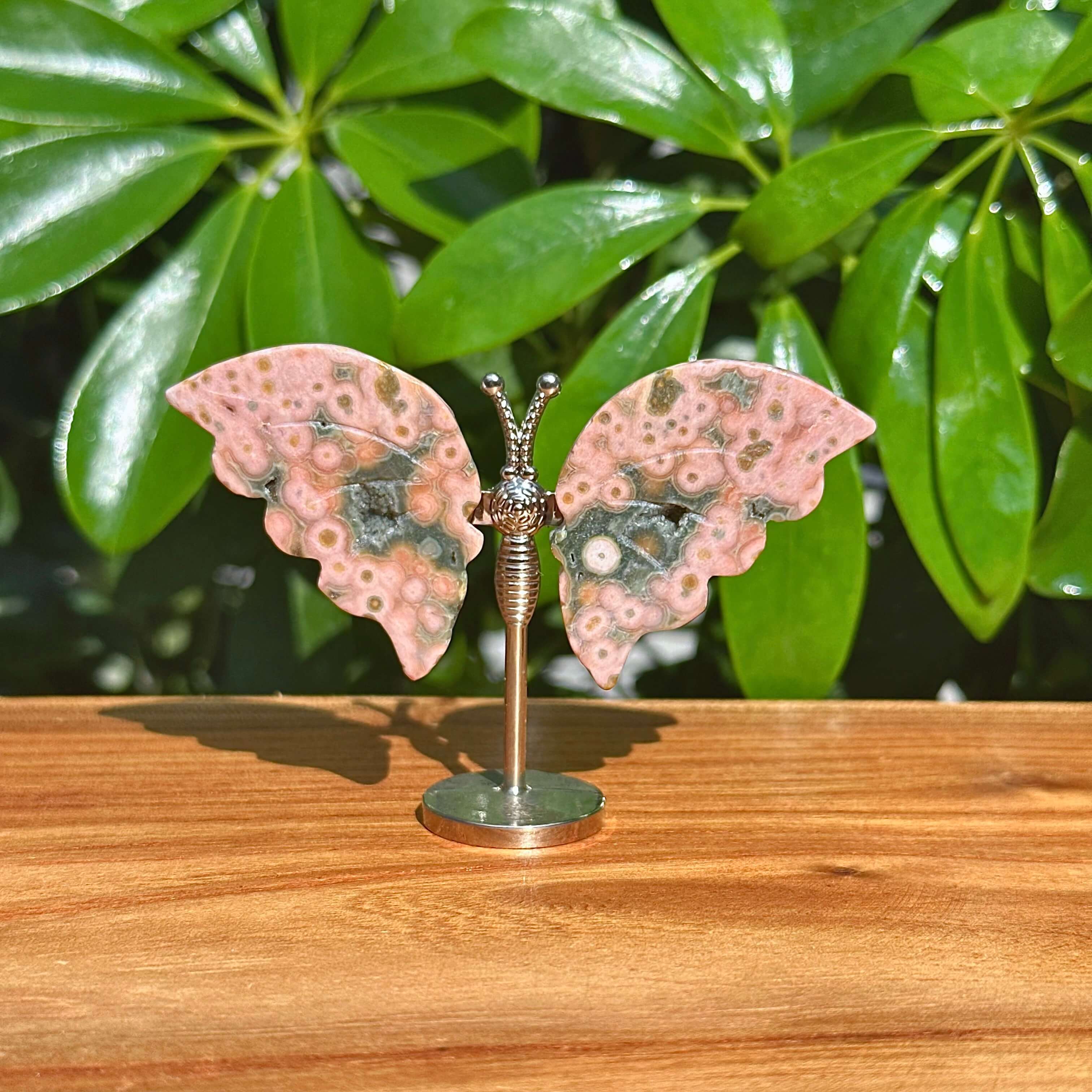 8th Vein Ocean Jasper Butterfly