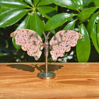 8th Vein Ocean Jasper Butterfly