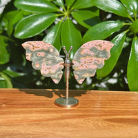 8th Vein Ocean Jasper Butterfly