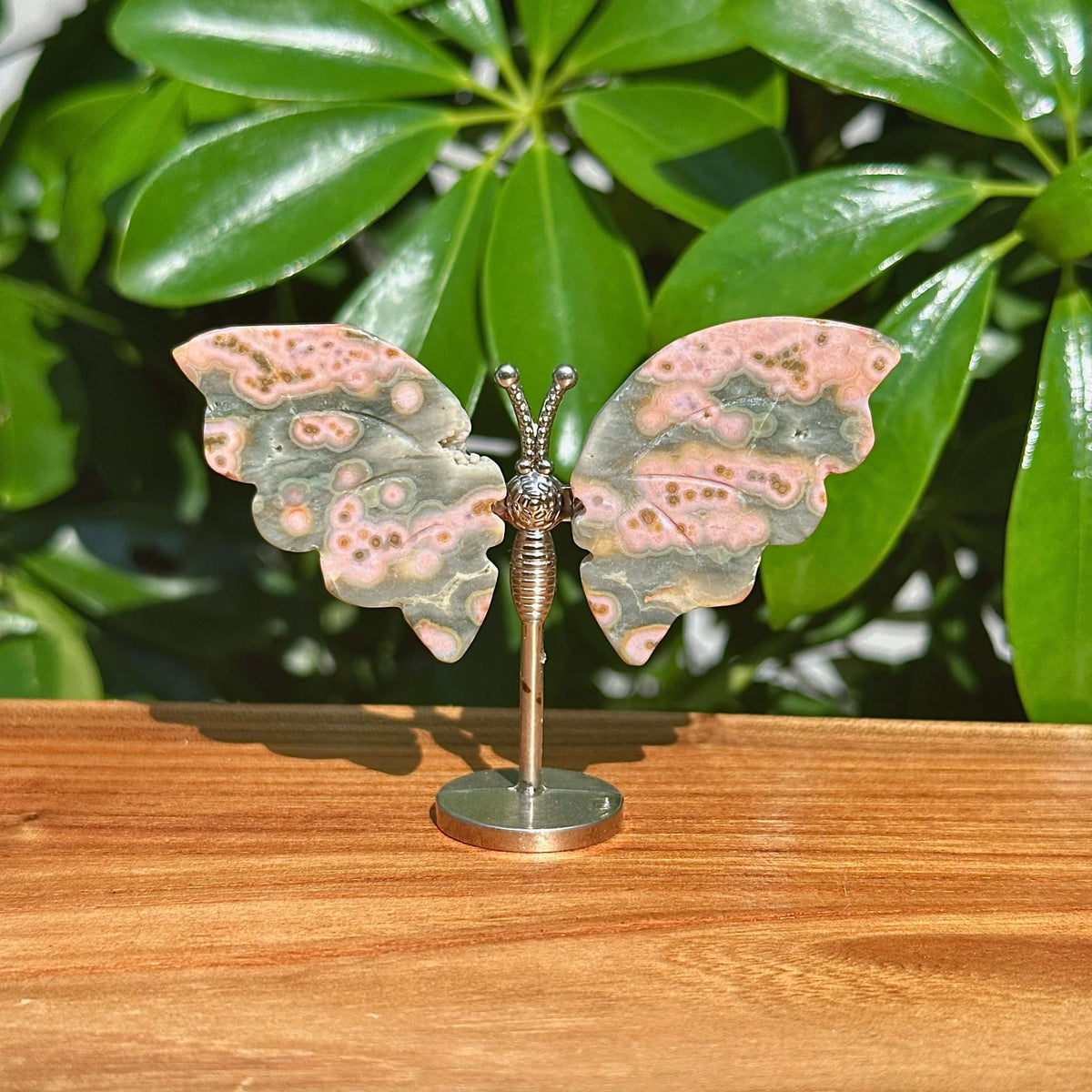 8th Vein Ocean Jasper Butterfly