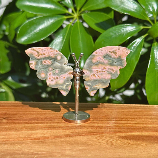 8th Vein Ocean Jasper Butterfly