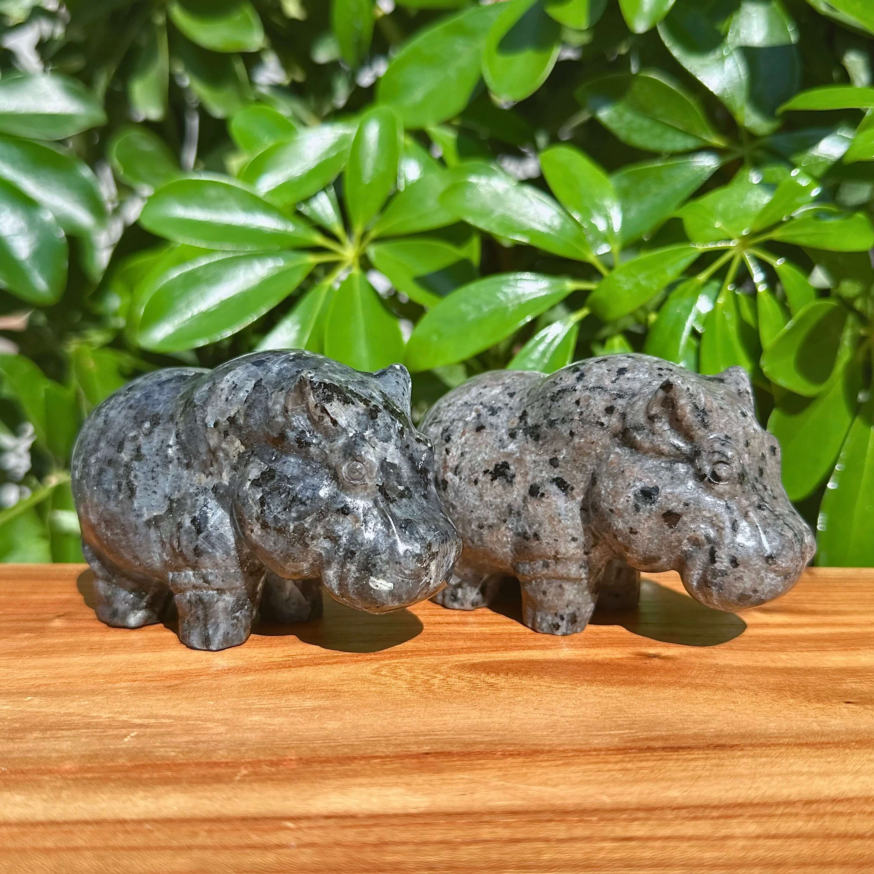 Crystal Hippo Carving