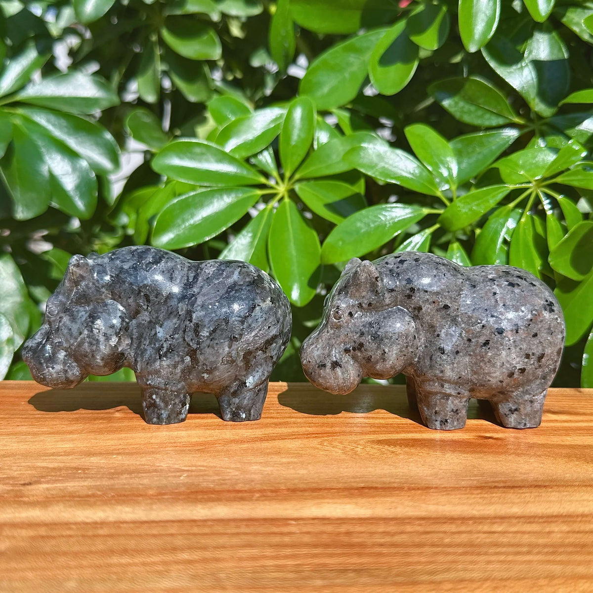 Crystal Hippo Carving
