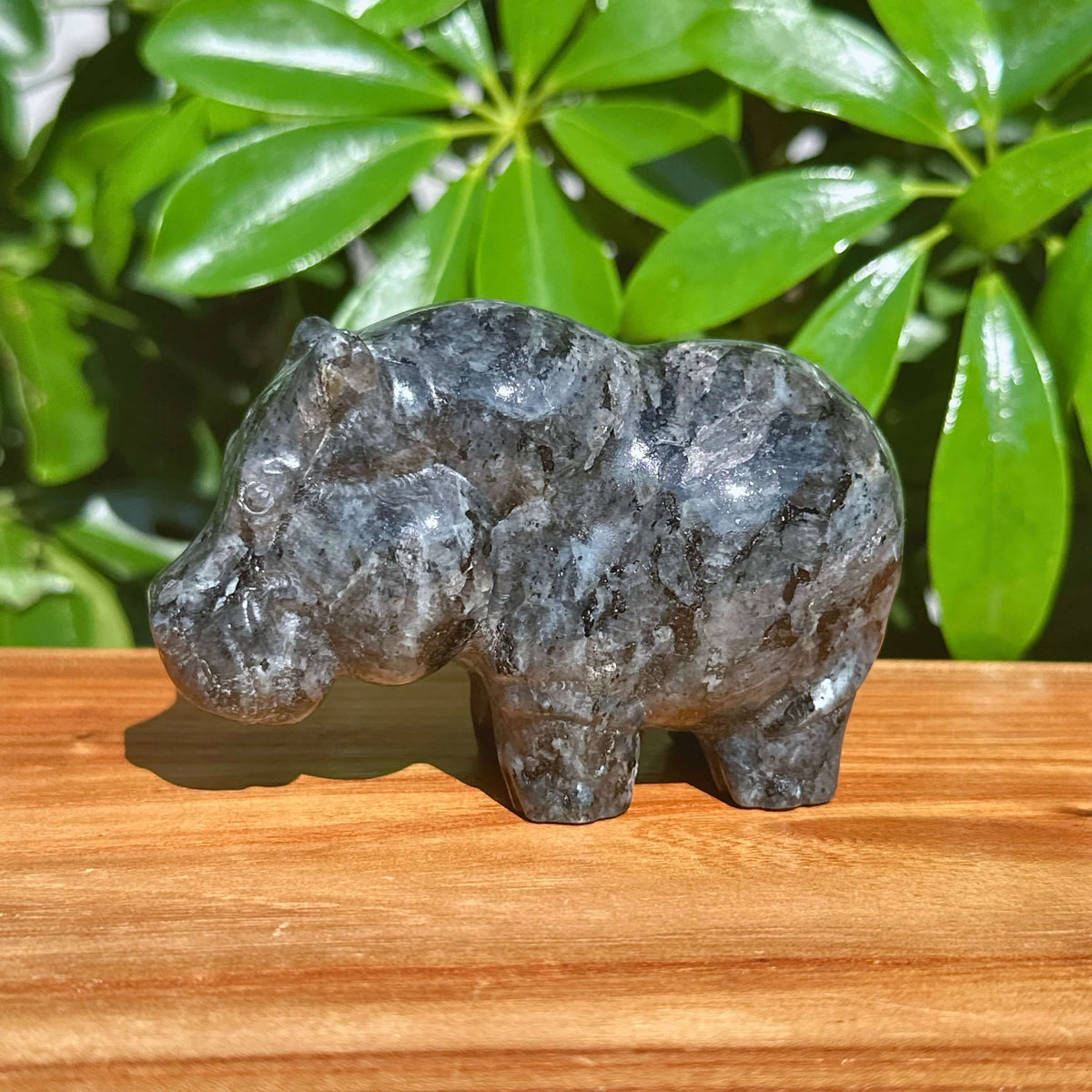 Crystal Hippo Carving