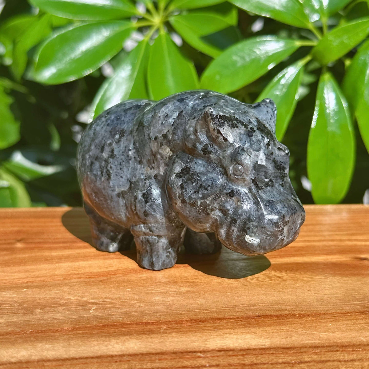 Crystal Hippo Carving