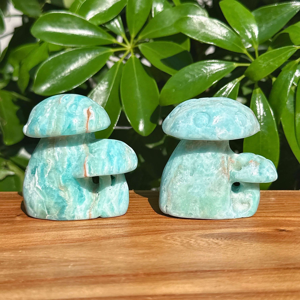 Hemimorphite Mushroom Carving
