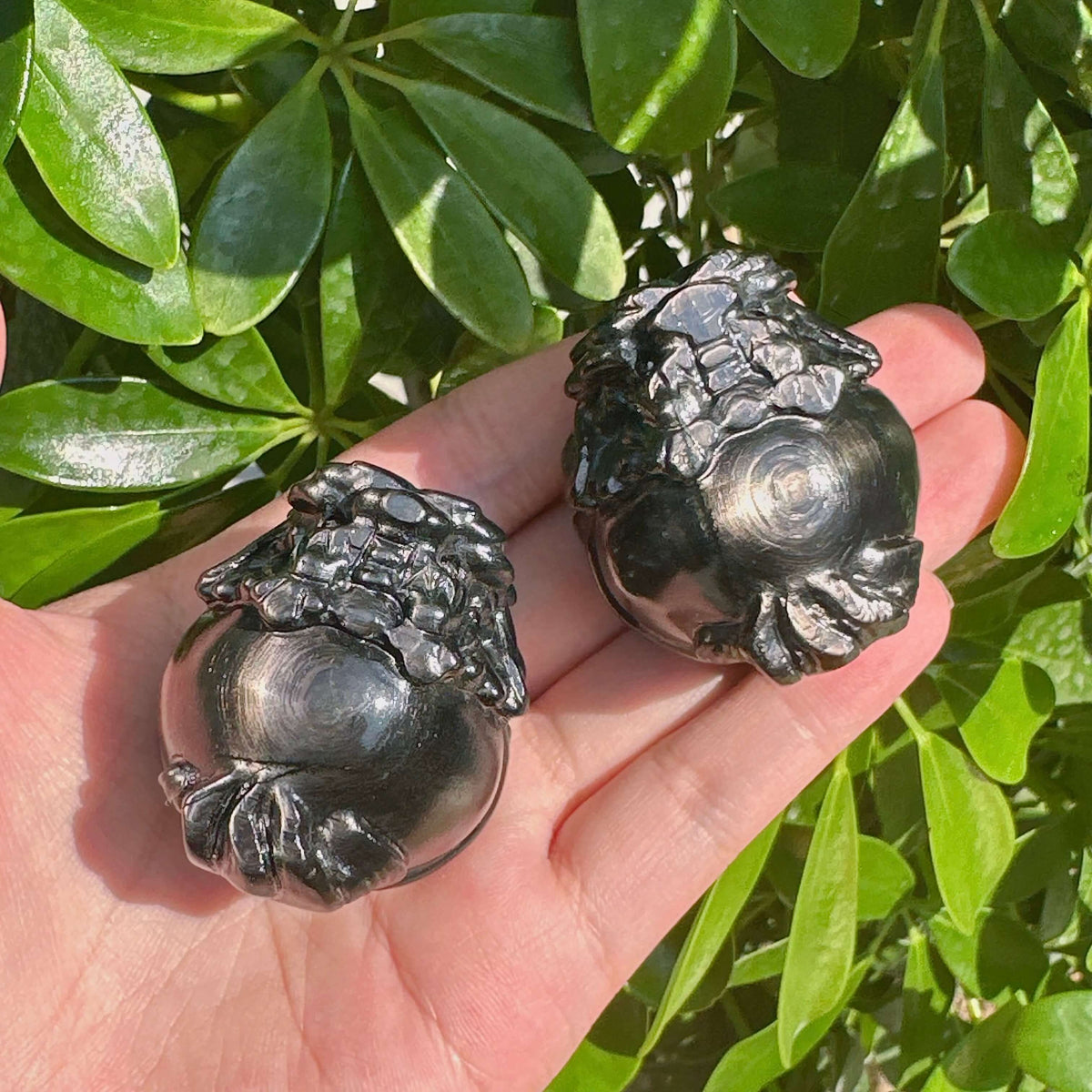Hypersthene Dragon-Turtle Carving