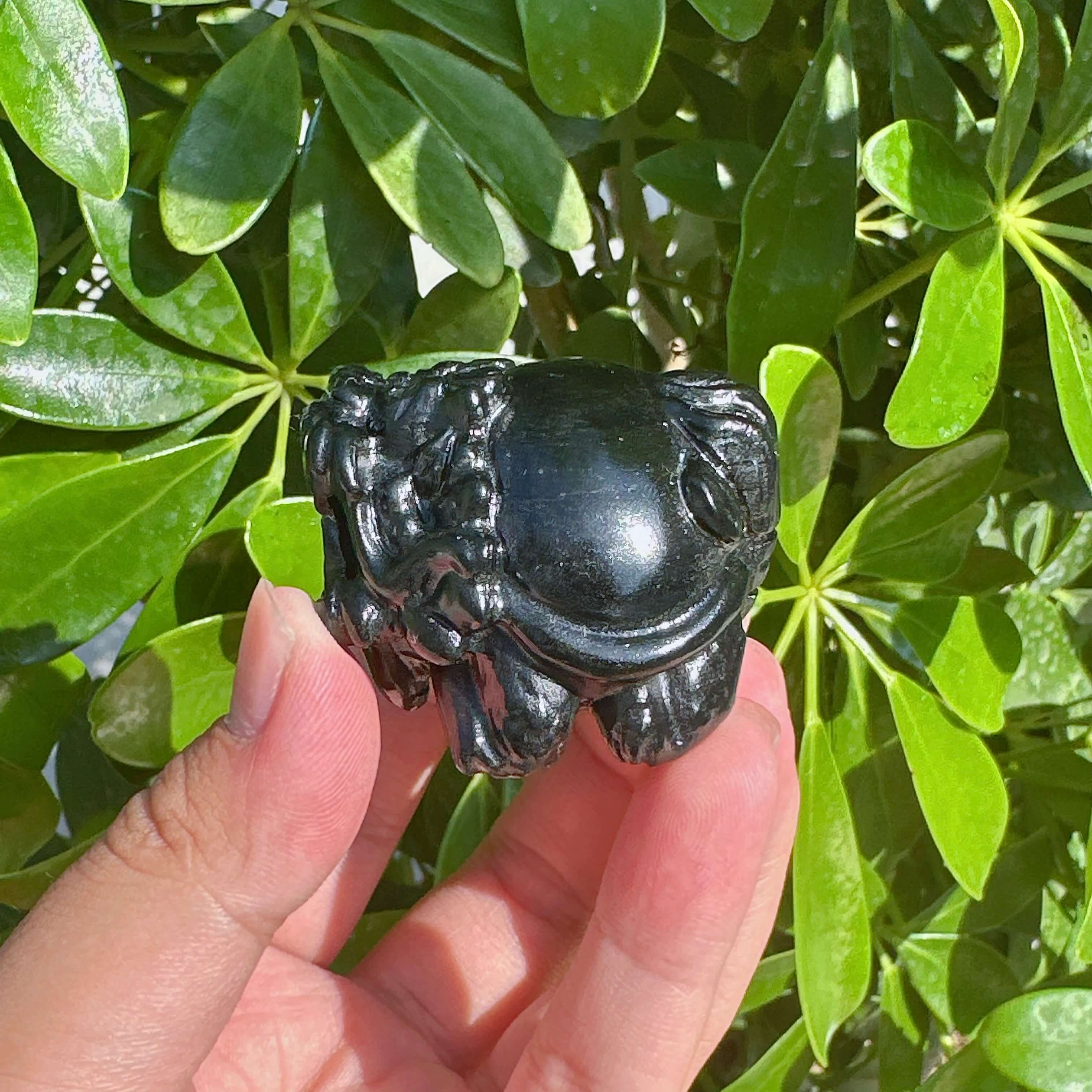Hypersthene Dragon-Turtle Carving