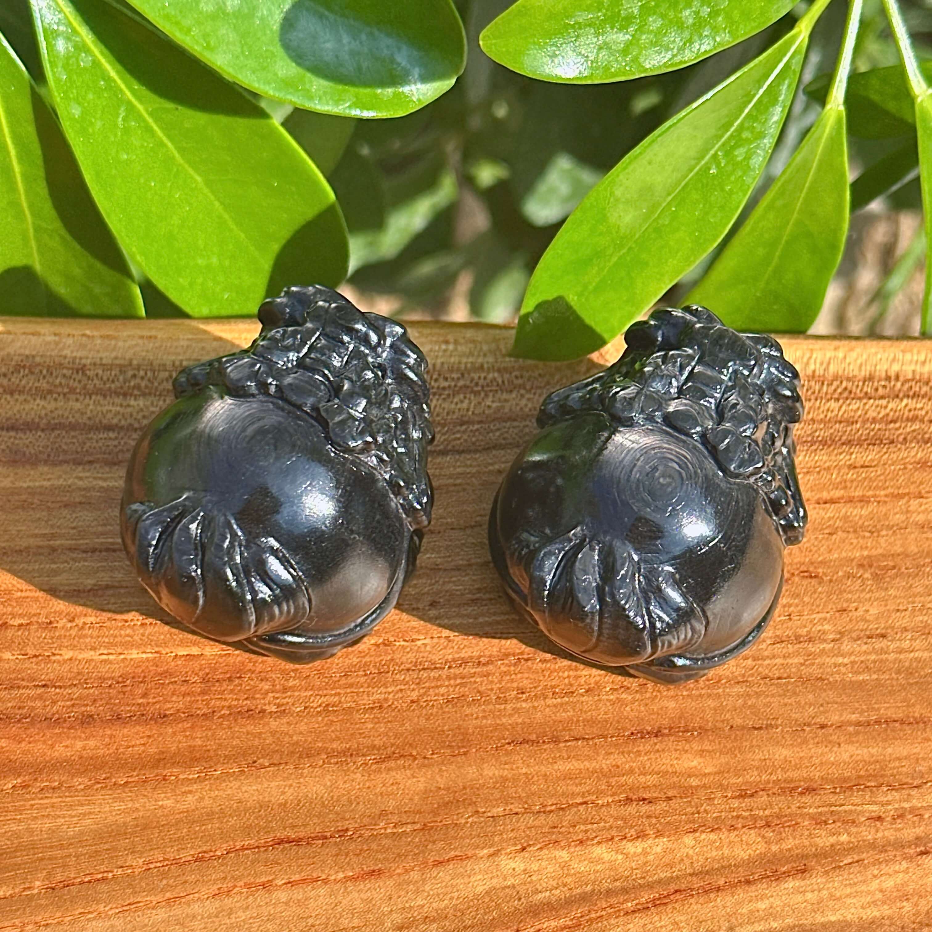 Hypersthene Dragon-Turtle Carving