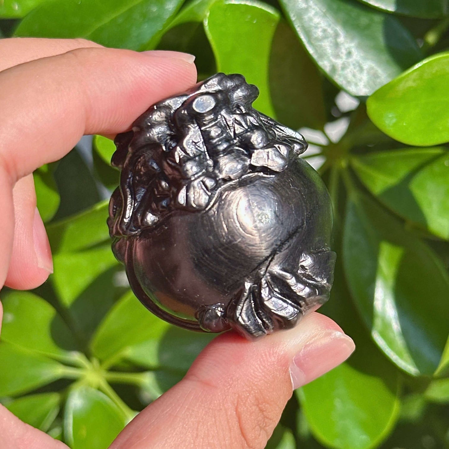 Hypersthene Dragon-Turtle Carving