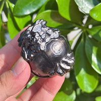 Hypersthene Dragon-Turtle Carving