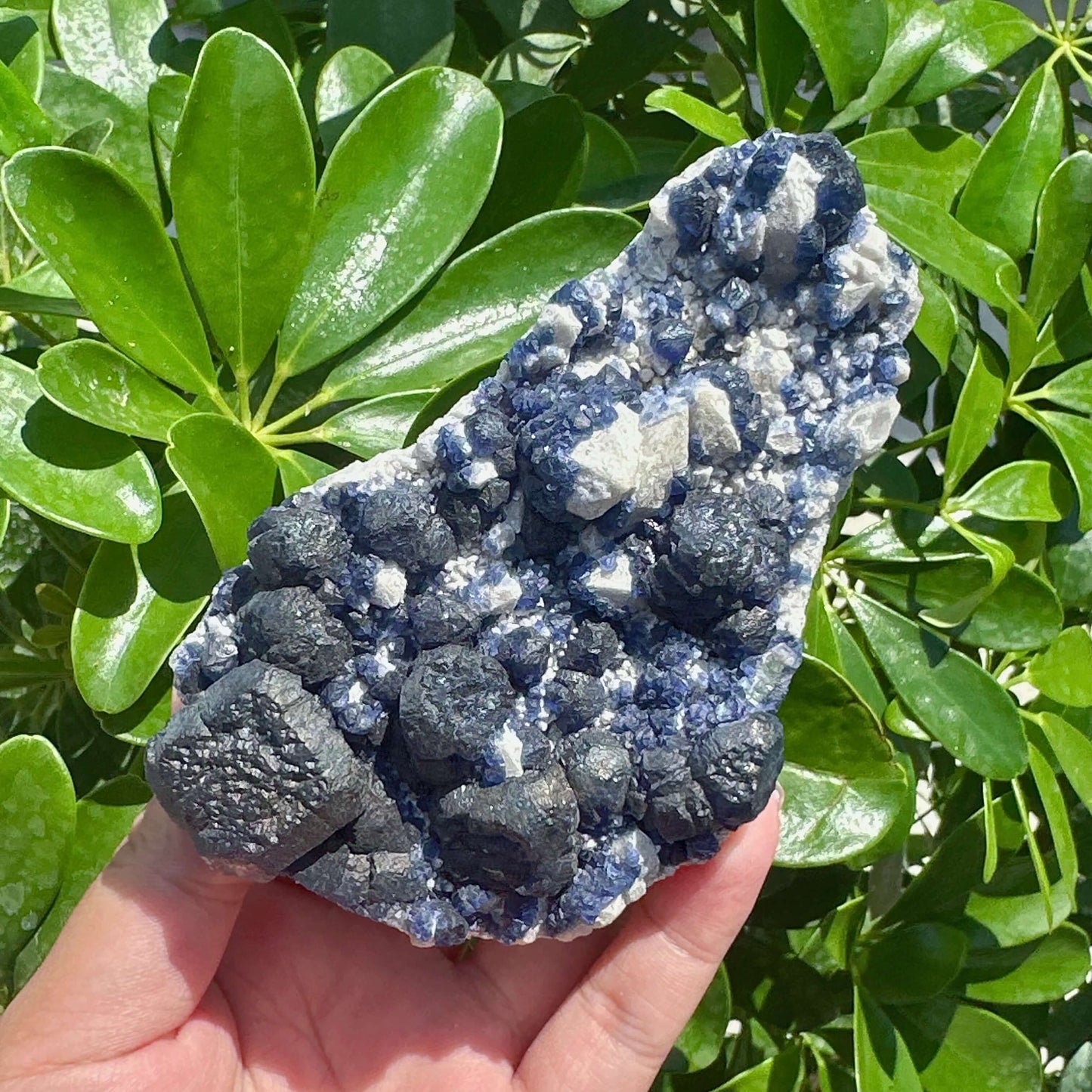 Blueberry Fluorite Specimen