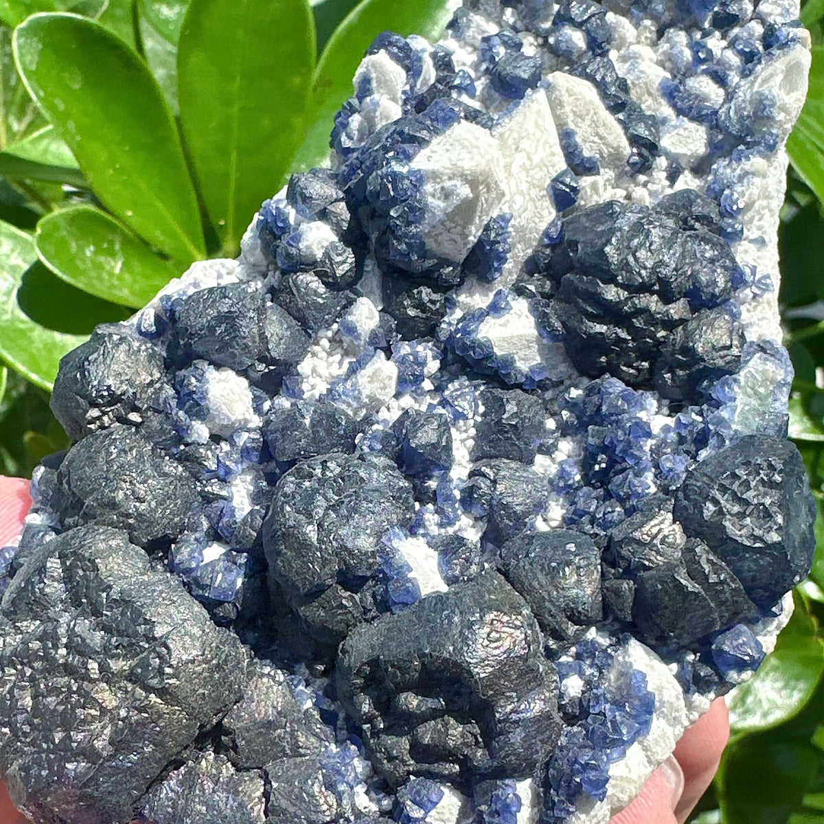 Blueberry Fluorite Specimen