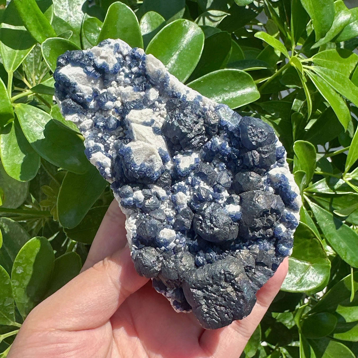 Blueberry Fluorite Specimen