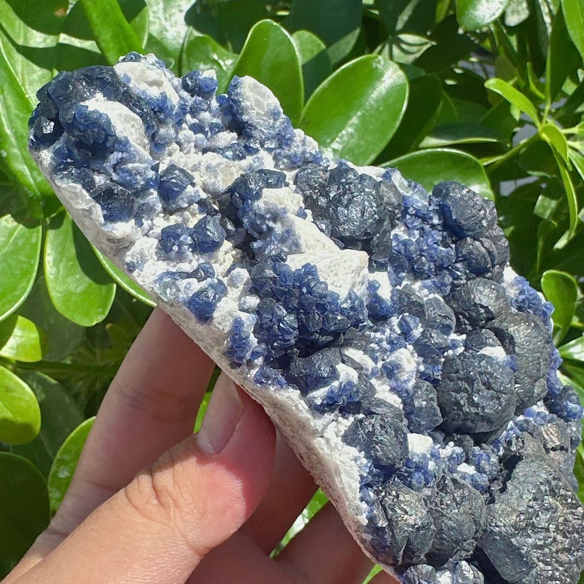 Blueberry Fluorite Specimen