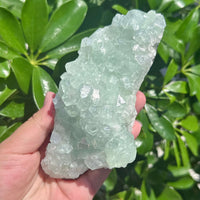 Indian Apophyllite Mineral Specimen