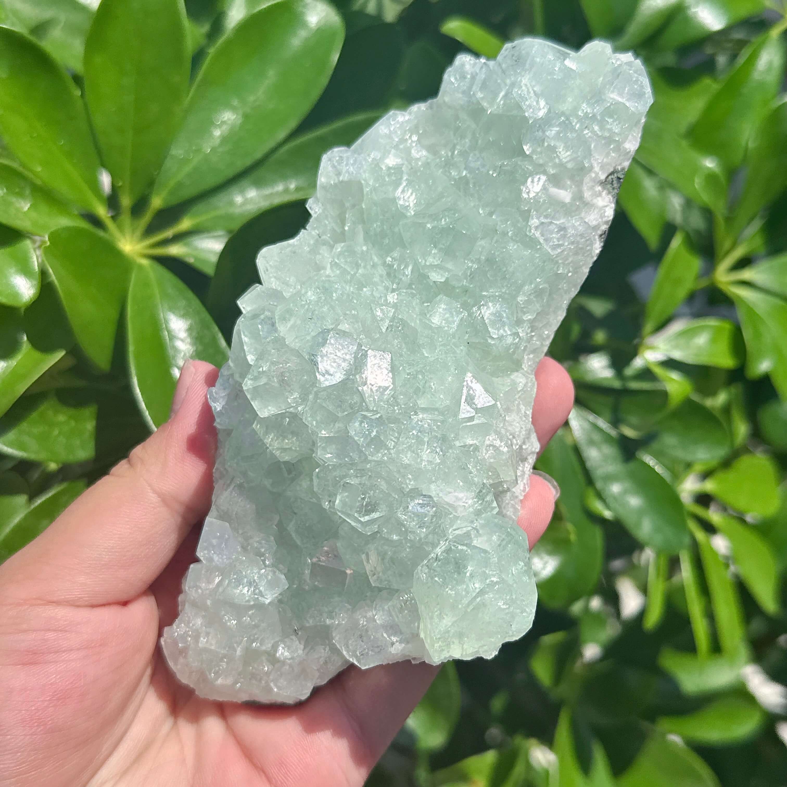 Indian Apophyllite Mineral Specimen